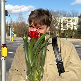 Шелест трави