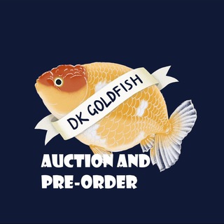 (AUCTION and PRE-ORDER) DK GOLDFISH
