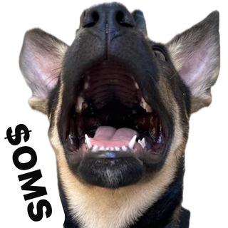 $OMS coin