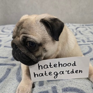 hatehood обсуждение