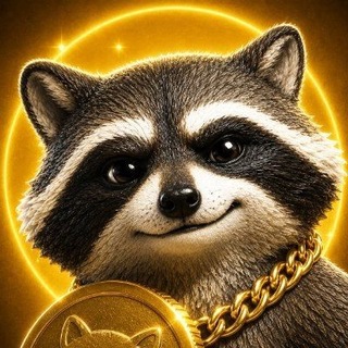 RACCO 🦝 | Official Community