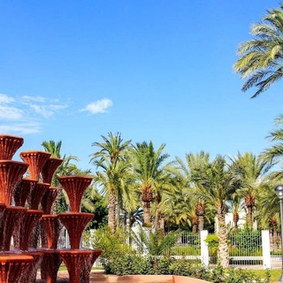 🇪🇸 Elche