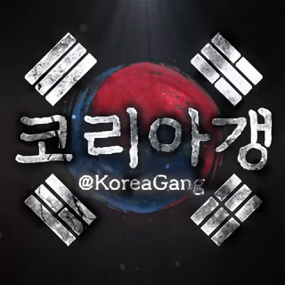 코갱 공지채널🚨