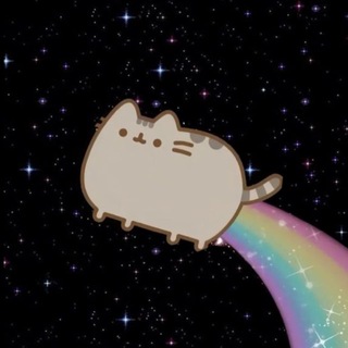 :3