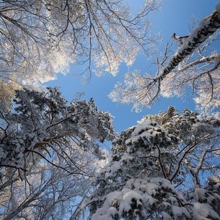 перехід. ⪩⪩ квітк𑄜вий сад ᯇ ❄️ !!