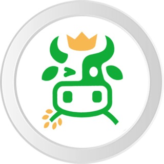 CBX Token community