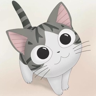 коточат