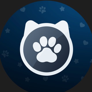 CatFlip Announcement