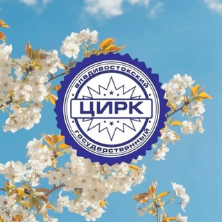 Владивостокский цирк ФКП "Росгосцирк"