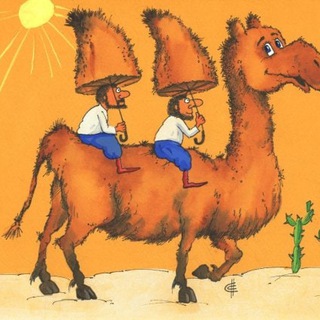 CamelFeedback