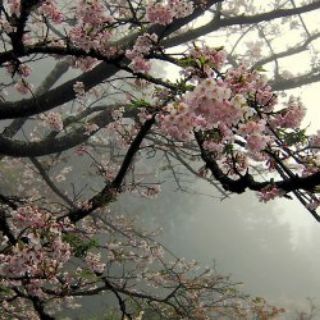 ꪖꪀﺃᥴꫝ