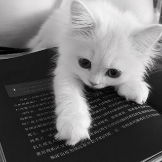 ㅤ​olee