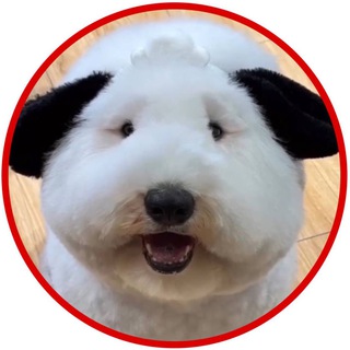 🐶 МИЛОТА.ХВОСТА 🐕