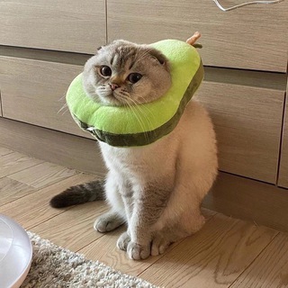 Предложка