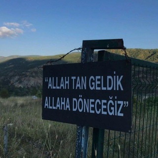Waledbabapiro