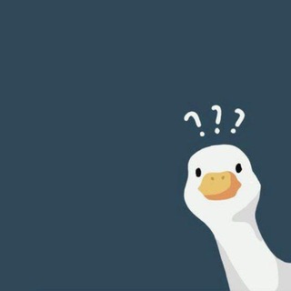 تواصُل ﮼زآيّ