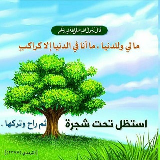 عبدالله الشوكي
