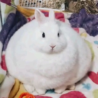 freya >_<