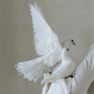 Life is Love❤🪐