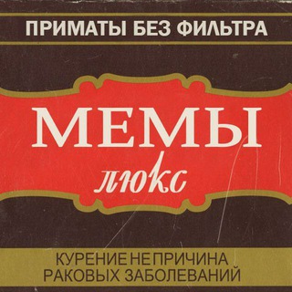 ✙Примати без фільтру✙