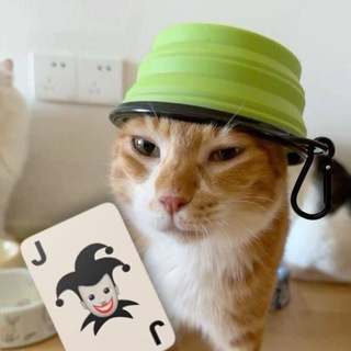 Doudou Cards
