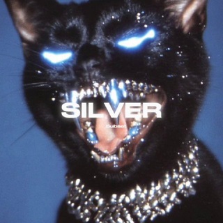 ‌ ‌ ‌ ‌ ‌ ‌ S̸ILVER THRONES