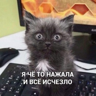 {°~°}