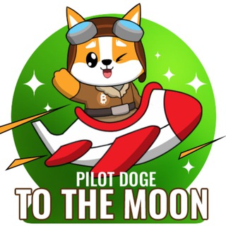 PILOT DOGE | VietNam🇻🇳
