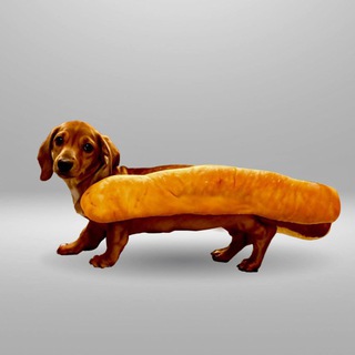 $HOTDOGE Support