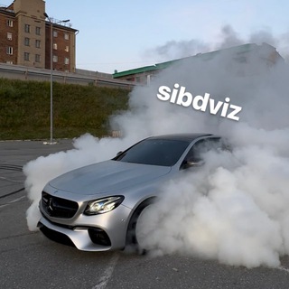 сибирские движения чат