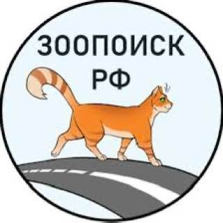 ЗООПОИСК бот