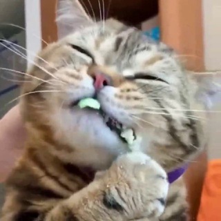 𝗣𝗔𝗦𝗦𝗪𝗢𝗥𝗗