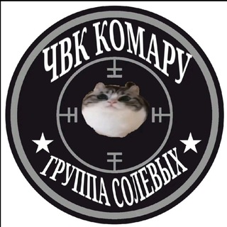 Солевуха чат