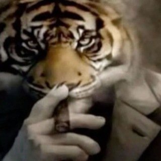 دفتر خونه رسمی سوتراکس