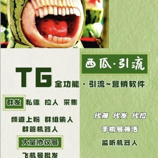 飞机号TG群发拉人私信协议号