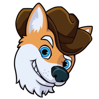 Cowboy Shiba