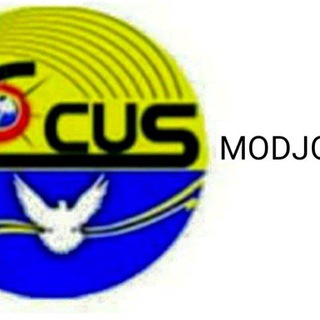 MOJO FOCUS