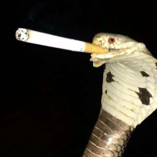 ︎︎ ︎︎ ︎︎ ︎︎ ︎