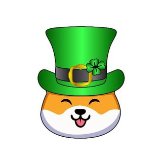 Irish Shiba Chat