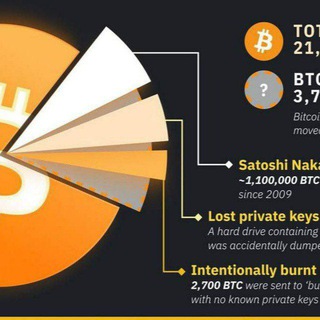 Shiba charity news