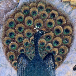 ᠋᠋᠋᠋᠋᠋᠋᠋᠋