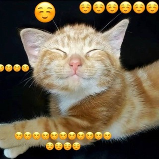 le