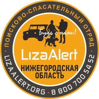 ДПСО «ЛизаАлерт» Нижегородская область
