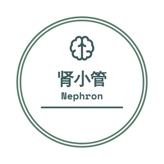 肾小管