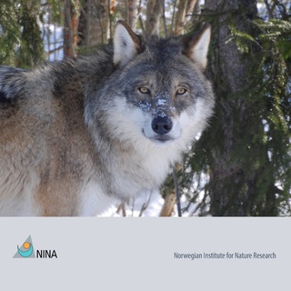 Norsk institutt for naturforskning (NINA) - Norwegian Institute for Nature Research on Telegram by GRT
