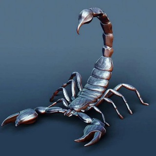 Scorpion