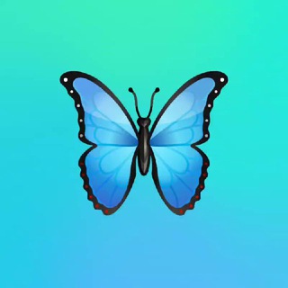 Spokek Airdrop