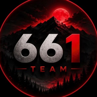 Чат 661_Team