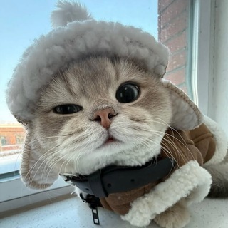 Chistor