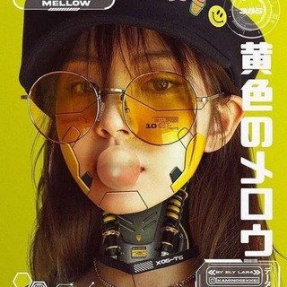 WireWalkWithMe
